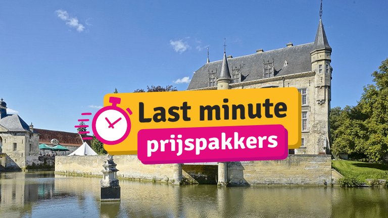 Prijspakkers - Kasteel Schaloen Vakantiewoningen en Hotel