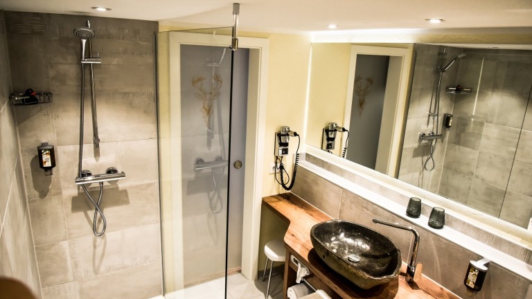 Standaard kamer - Hotel Menzhausen
