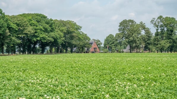 Het Heerengoedt - Het Heerengoedt
