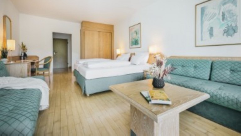 Economy kamer - Sauerland Stern Hotel