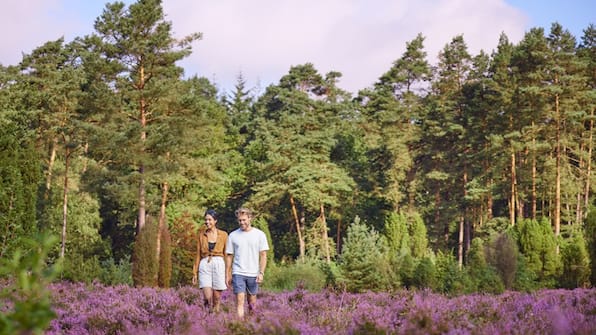 Omgeving - Center Parcs Bispinger Heide- Hotel