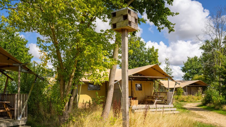 Glampingtenten - Landal Glamping Lauwersmeer