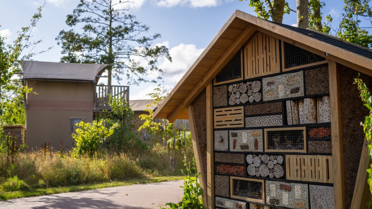 Insectenhotel - Landal Glamping Lauwersmeer