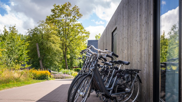 Fietsverhuur - Landal Glamping Lauwersmeer