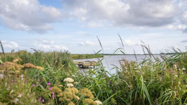 Omgeving - Landal Glamping Lauwersmeer