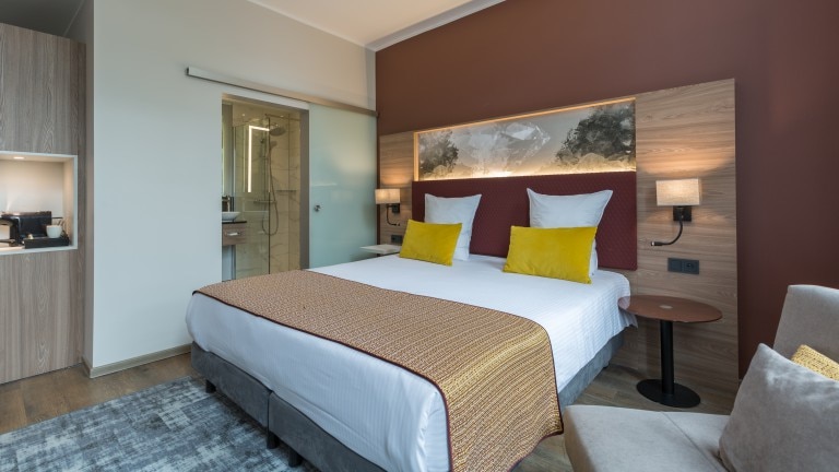 Deluxe room 1 double bed - Leonardo Hotel Antwerpen