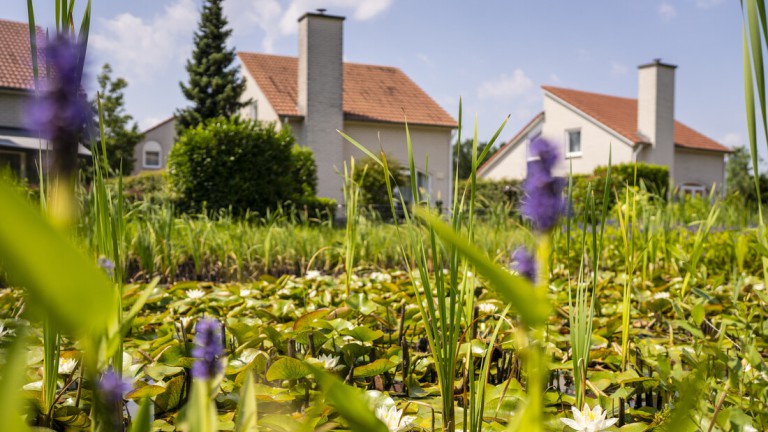 Accommodaties - Landal Resort Arcen