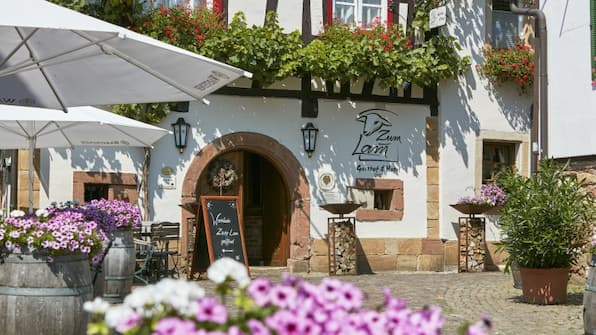 Terras - Gasthof Zum Lam