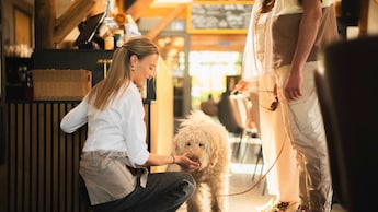 Hond - Vakantiehoeve Si-Es-An