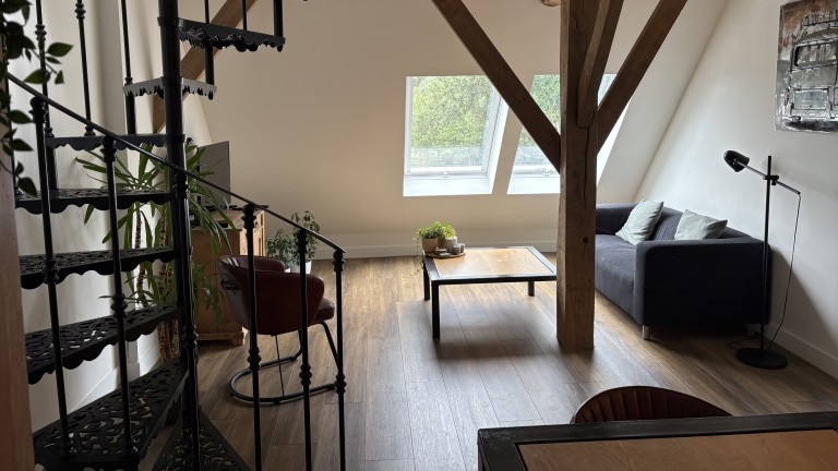Galeriebild 19