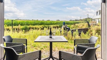 Terras - Landal de Strabrechtse Vennen Terras - Landal de Strabrechtse Vennen