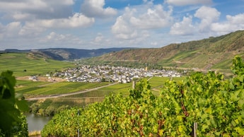 Omgeving - Landal Sonnenberg