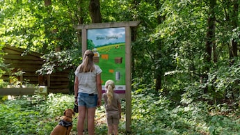 Op het park - Buitenplaats Gerner