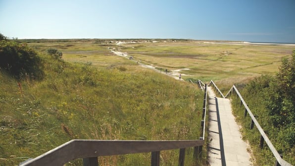 Omgeving - Landal Kustpark Texel