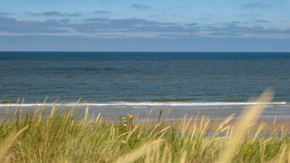 Omgeving - Landal Kustpark Texel