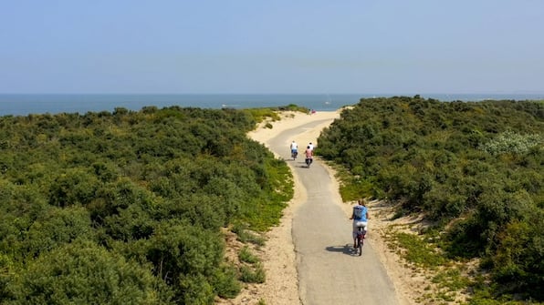 Omgeving - Landal Beach Resort Nieuwvliet-Bad