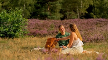 Omgeving - Recreatielandgoed De IJsvogel