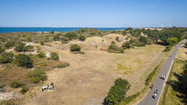 Omgeving - Landal Camping De Zandput