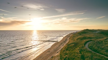 Omgeving - Landal Noordzee Résidence Dishoek