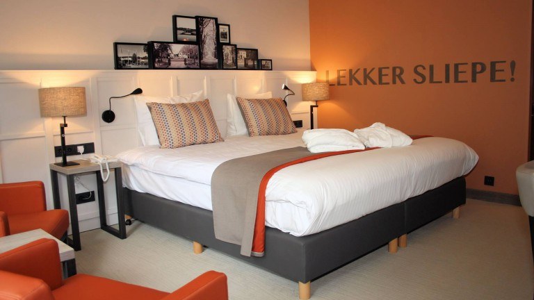 Luxe kamer - Parkhotel Tjaarda