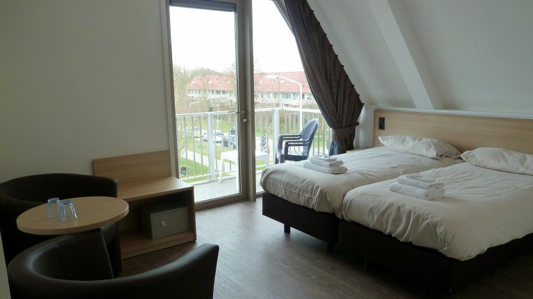 Standaardkamer met balkon - Hotel t Zwaantje