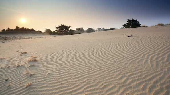 Umwelt - City Hotel de Jonge Umwelt - City Hotel de Jonge