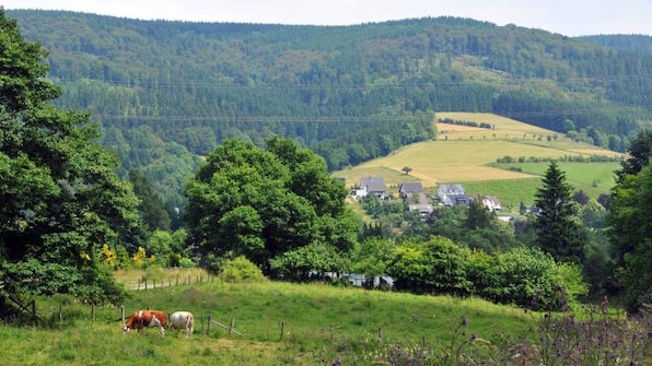Omgeving - hotel Niedersfeld