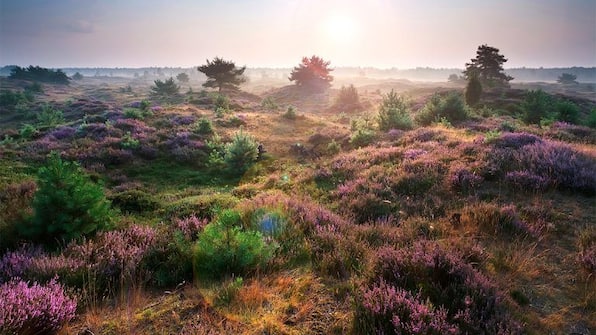 Omgeving - Hotel Martensplek