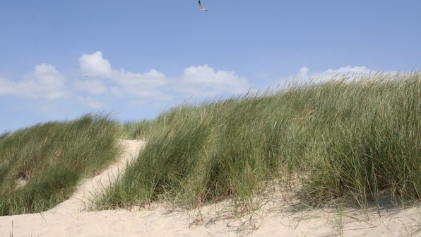 Omgeving - Holiday Suites Westende Omgeving - Holiday Suites Westende