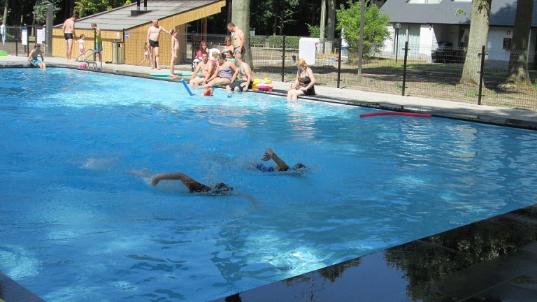 Zwembad - Green Resort Limburg