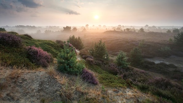 Omgeving - Hotel Eeserhof