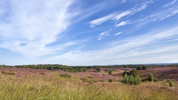 Umwelt - Hotel Eeserhof Umwelt - Hotel Eeserhof
