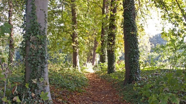 Umwelt - Boetiek Hotel BonAparte