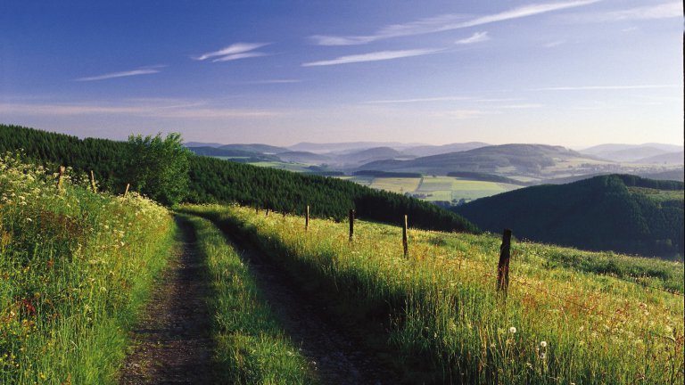 Omgeving - Gasthof Westfeld