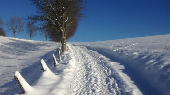 Omgeving - Gasthof Westfeld