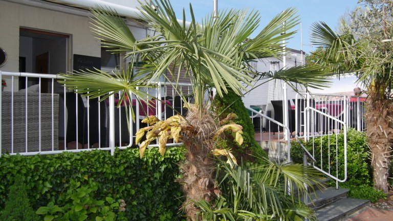 Terras - Hotel Krasemann