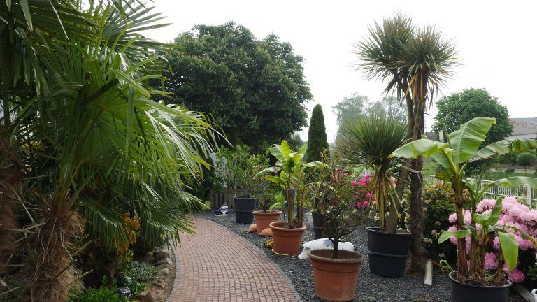 Tuin - Hotel Krasemann