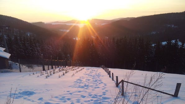 Umwelt - Landgasthof Nesselbach