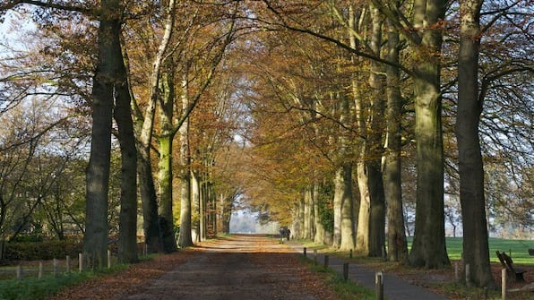 Umgebung - Das Clomp - Charme Hotel und Restaurant Umgebung - Das Clomp - Charme Hotel und Restaurant