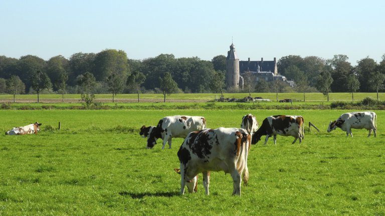 Omgeving - De Klomp - Charme Hotel en Restaurant
