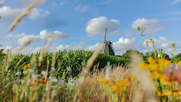 Umwelt - Parkhotel Auberge Vincent Umwelt - Parkhotel Auberge Vincent