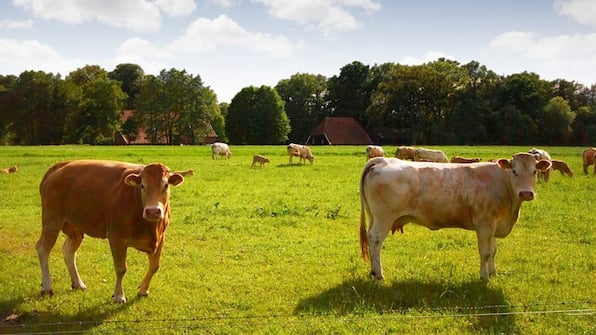 Umwelt - Hotel Wapen van Delden Umwelt - Hotel Wapen van Delden