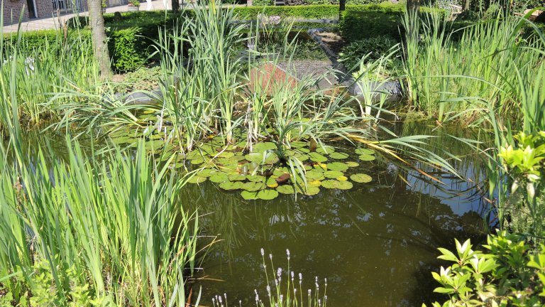 Garten - Erbe dOuffenhoff