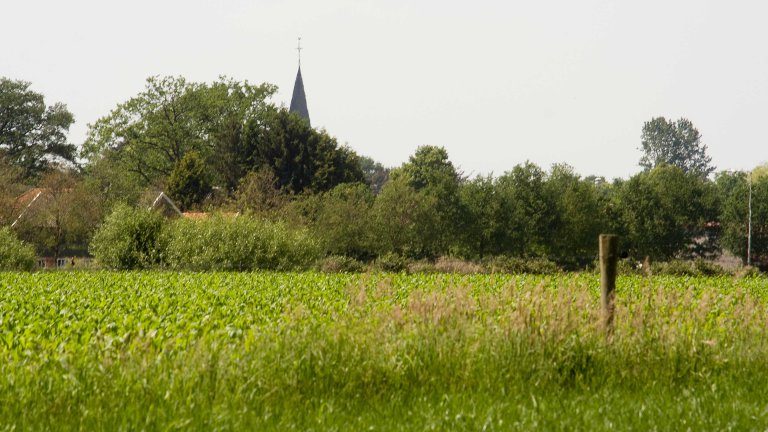 Uitzicht - Bed and Breakfast Erve Fakkert