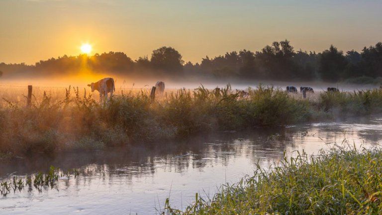 Omgeving - Bed and Breakfast Erve Fakkert
