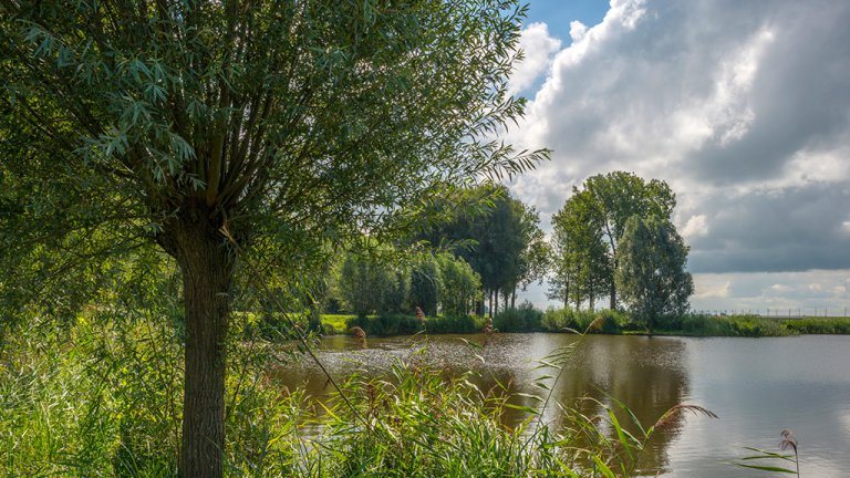 Omgeving - Bed and Breakfast Erve Fakkert
