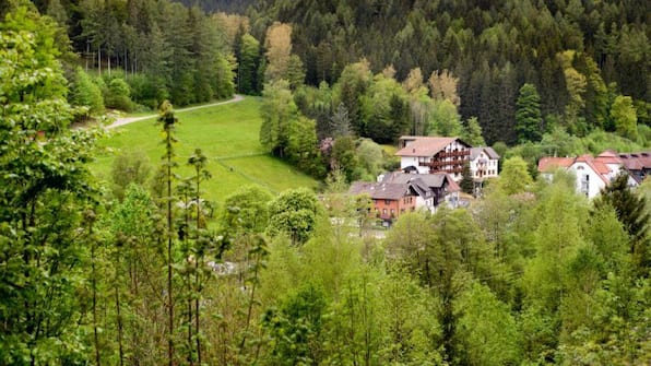 Umgebung - Holzschuhs Schwarzwaldhotel
