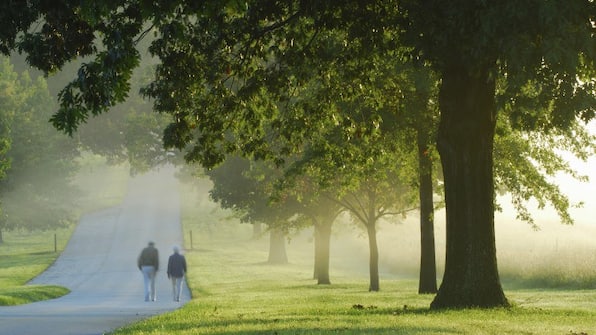 Wandelen - Hotel Stadt Daun