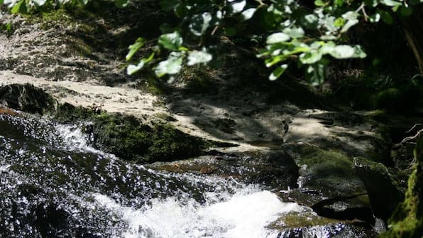Omgeving - Hotel Landgasthof Hohenauer Hof