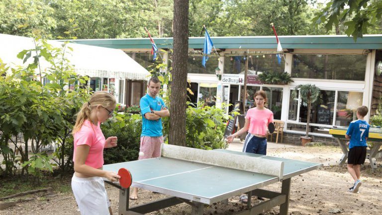 Tafeltennis - Oostappen Vakantiepark Arnhem